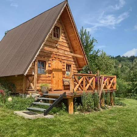 Oaza Tatry I Zakopane